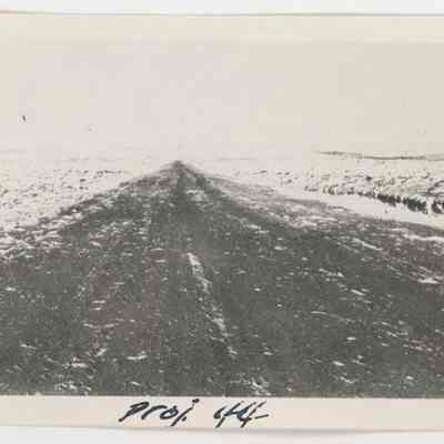 Print, Photographic