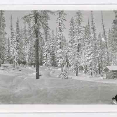 Print, Photographic