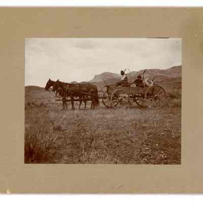 Print, Photographic