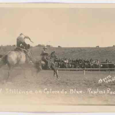 Postcard