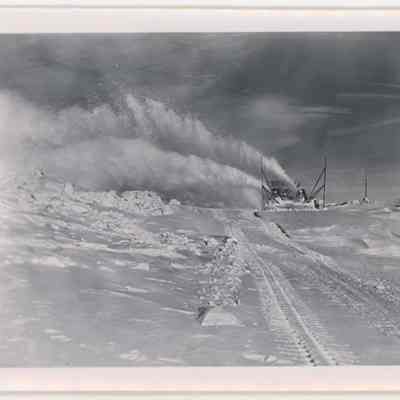Print, Photographic
