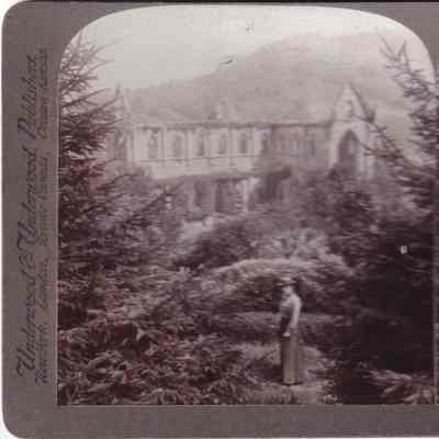 Stereograph
