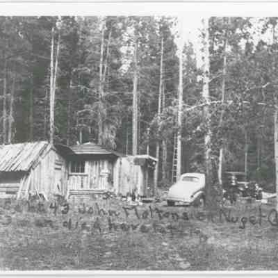 Print, Photographic