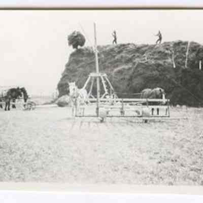 Print, Photographic