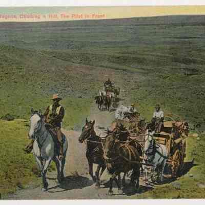 Postcard