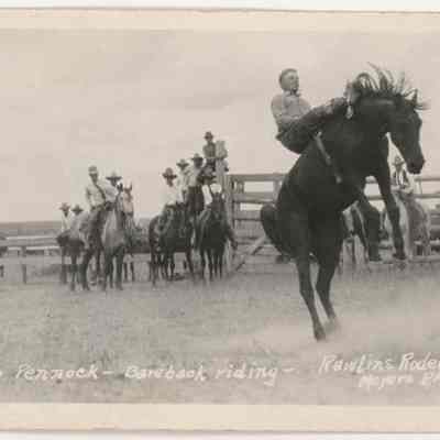 Postcard