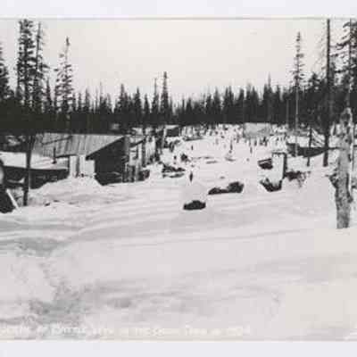 Postcard