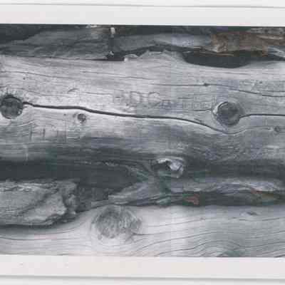 Print, Photographic