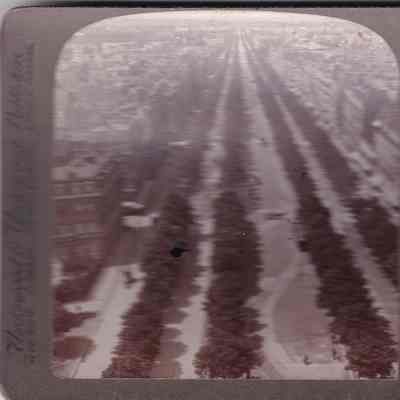 Stereograph