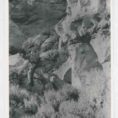 Print, Photographic