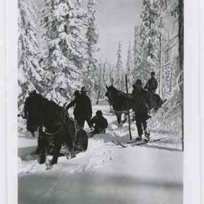 Print, Photographic