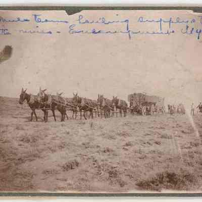 Print, Photographic