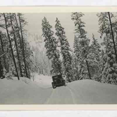 Print, Photographic