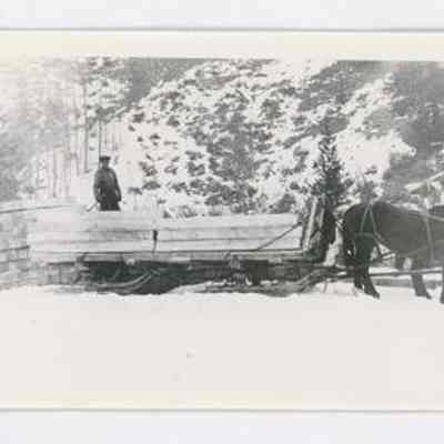 Print, Photographic