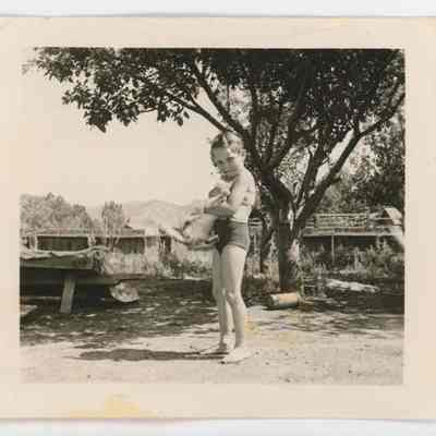 Print, Photographic