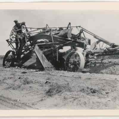 Print, Photographic