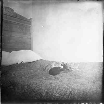 Print, Photographic