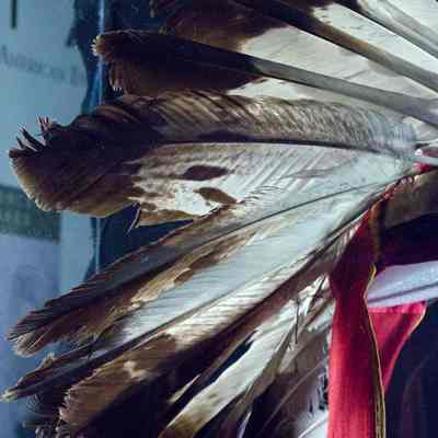 Headdress
