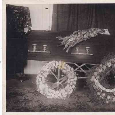 Photograph