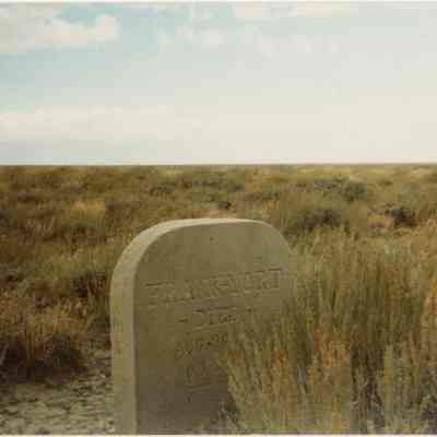 Photograph, Color