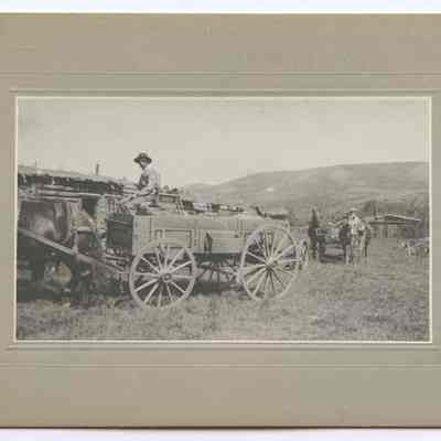 Print, Photographic