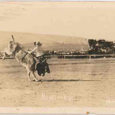 Postcard