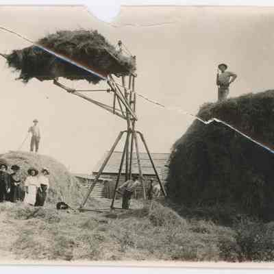 Print, Photographic