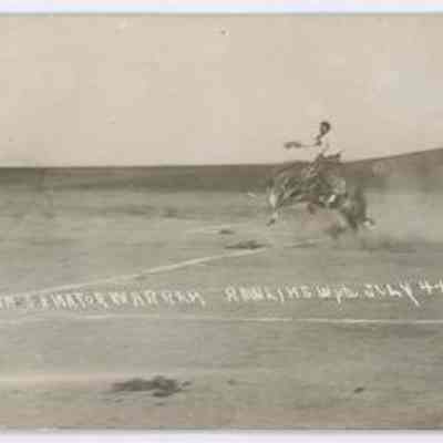 Postcard