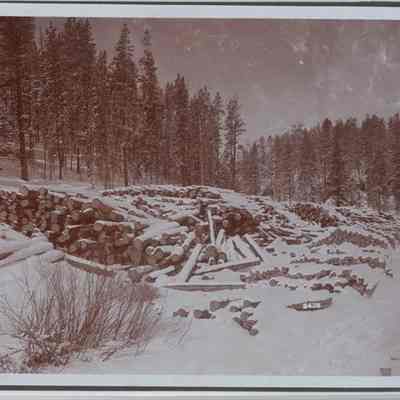 Print, Photographic