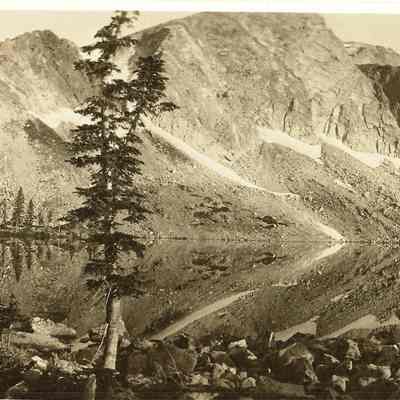 Print, Photographic