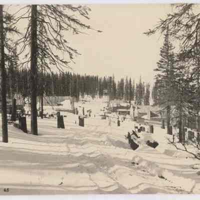 Print, Photographic