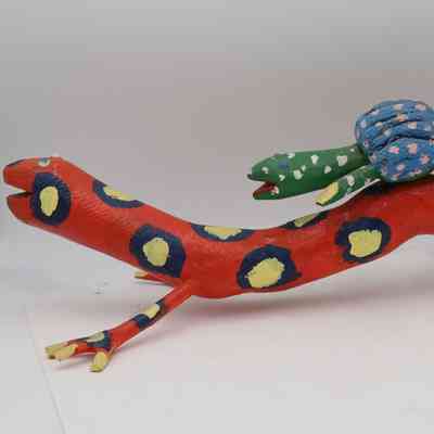 Salamander Giving a Turtle a ride