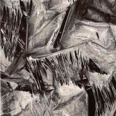Decayed Hefty Bag