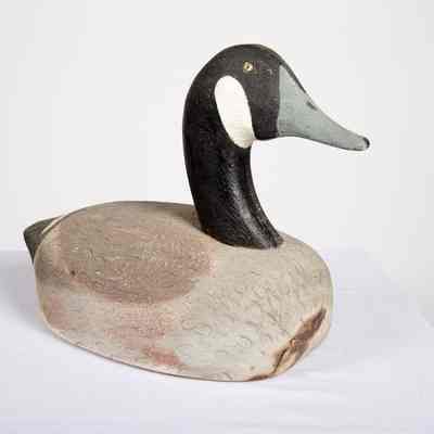 Canada Goose
