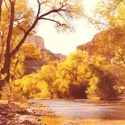 Aravaipa Creek