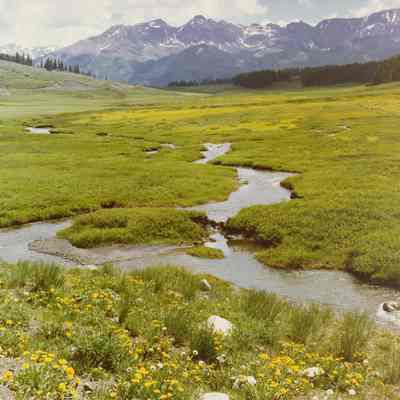 Lizard Head Pass, Rico, CO 1978