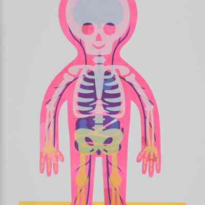 Body 1/50 E.V.