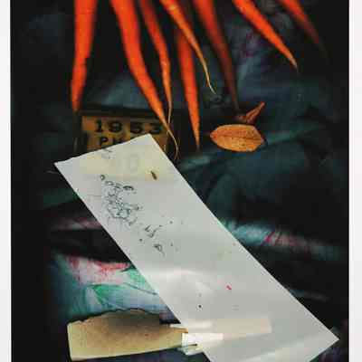 Carrotid Scan