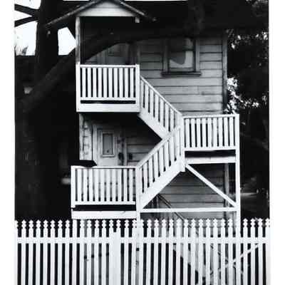 Tree House
