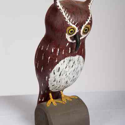 Hoot Owl