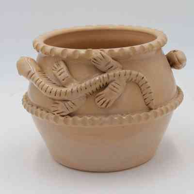 Lizard Bowl with Dish