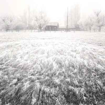 Frost and Fog, De Chambeau Ranch 1980