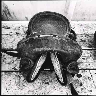 Saddle, Calgary, 1978