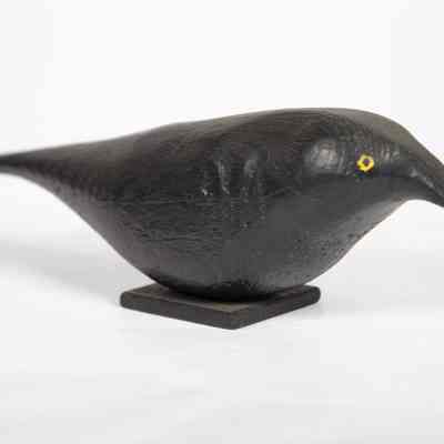 Black Crow
