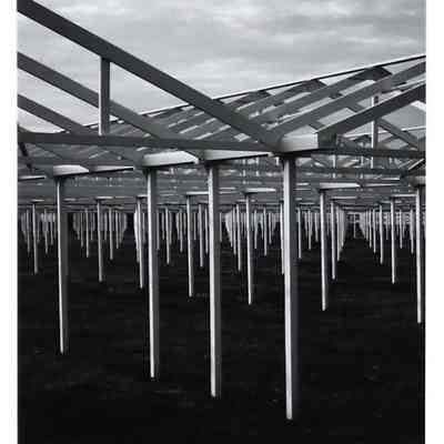 Greenhouse #4