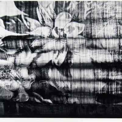Curtain- Albany, Oregon 1978