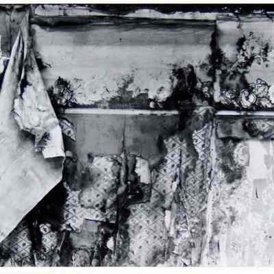 Torn Wallpaper, Bodie, CA 1978