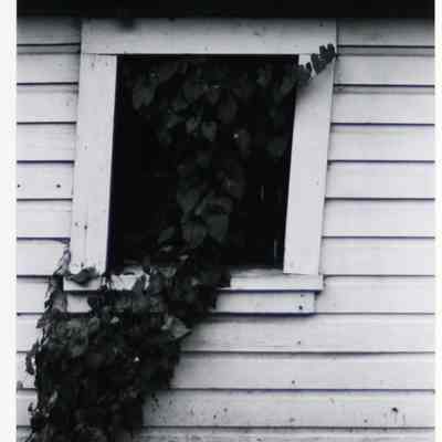 Window- Corvallis, Oregon 1976