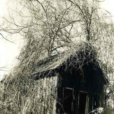 Vegetable Barn