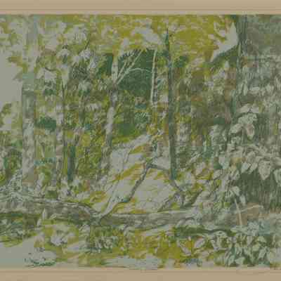 Summer Woods
